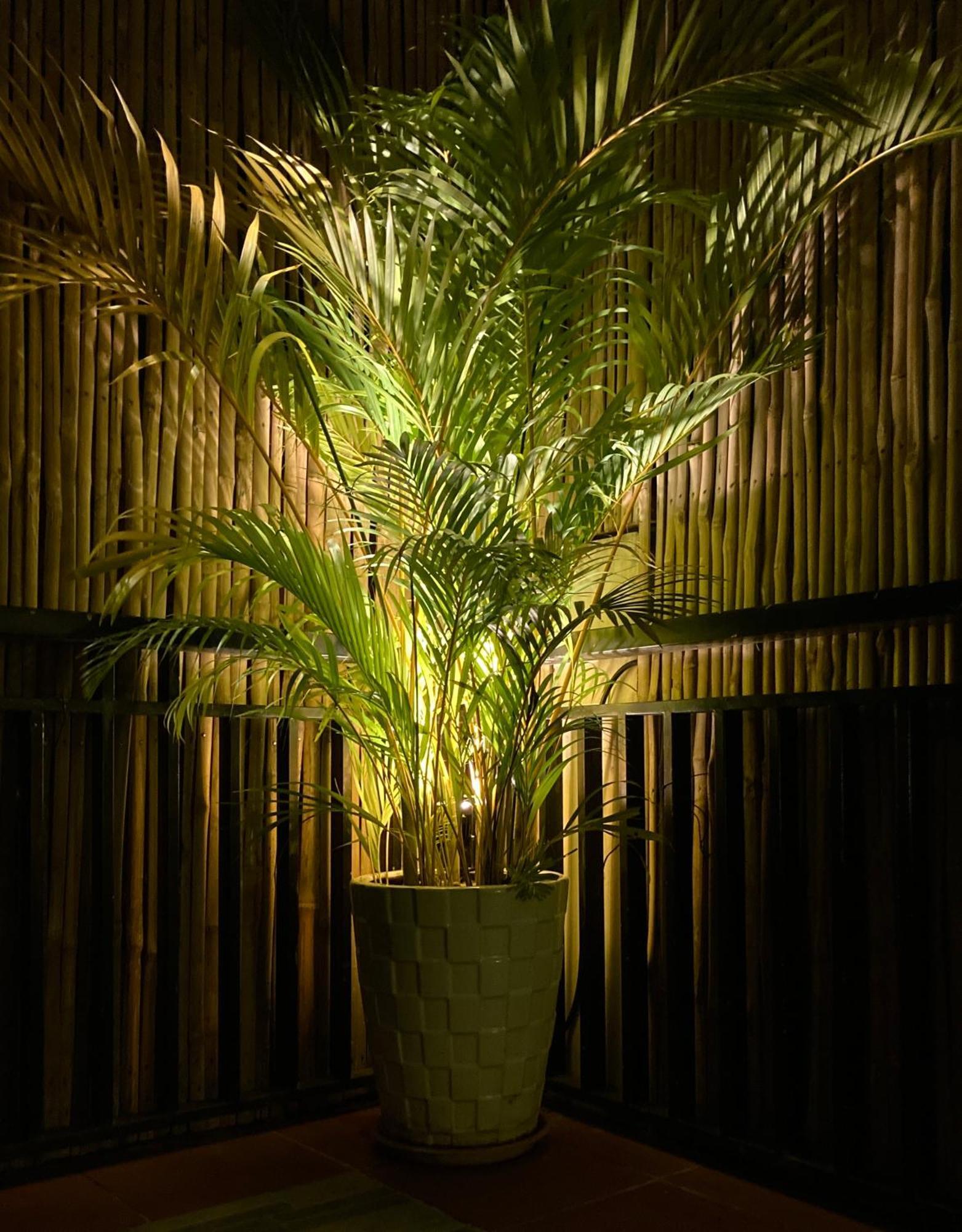 סיאם ריפ Lotus Haven Villa מראה חיצוני תמונה