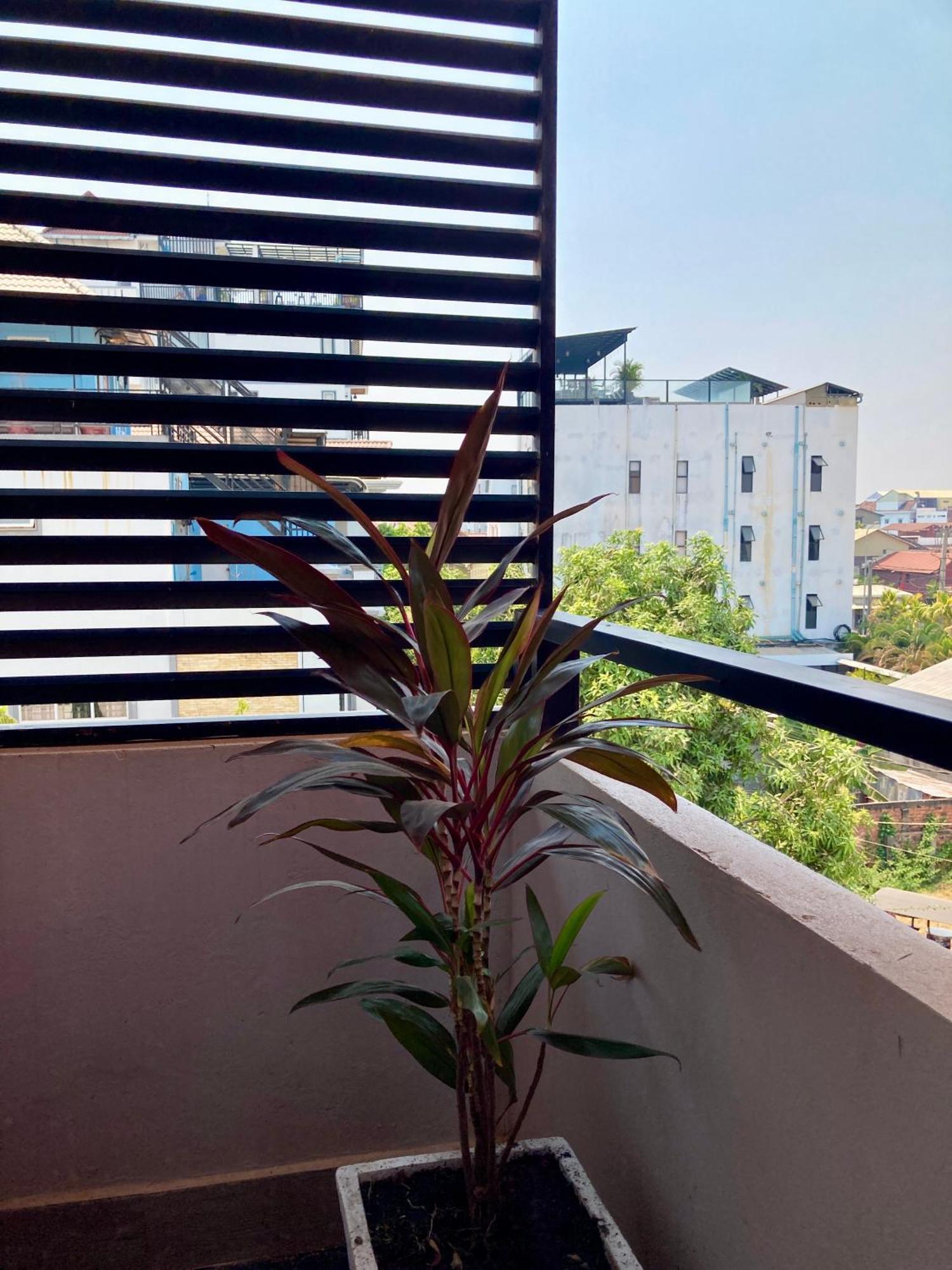 סיאם ריפ Lotus Haven Villa מראה חיצוני תמונה